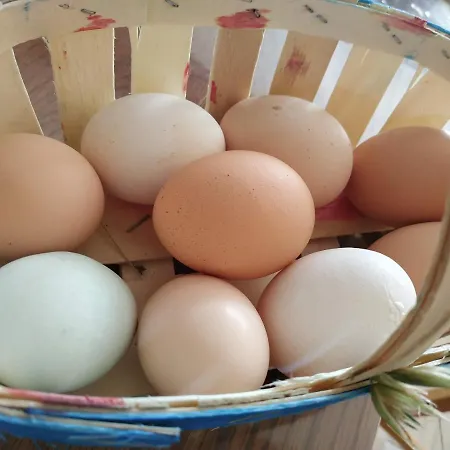 La Ferme Des Escampades *