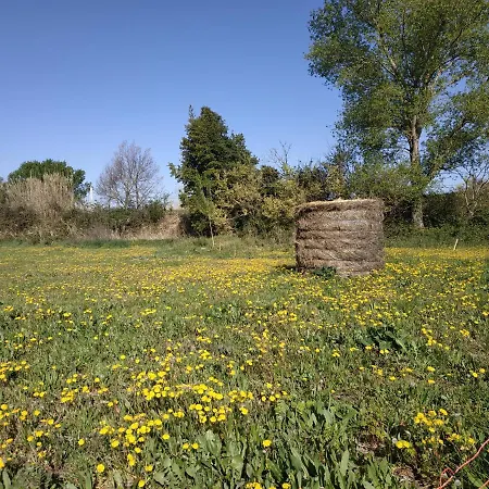 Bed and breakfast La Ferme Des Escampades