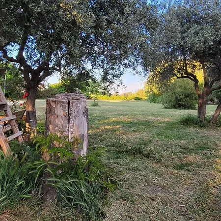 Bed and breakfast La Ferme Des Escampades